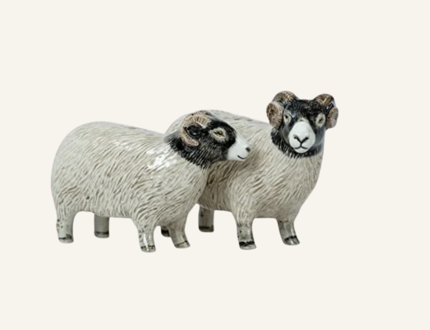 SHEEP SALT & PEPPER SHAKER SET