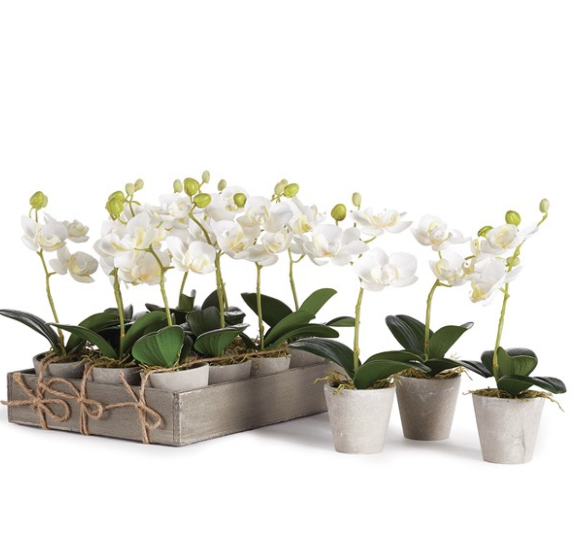 9" FAUX POTTED ORCHID