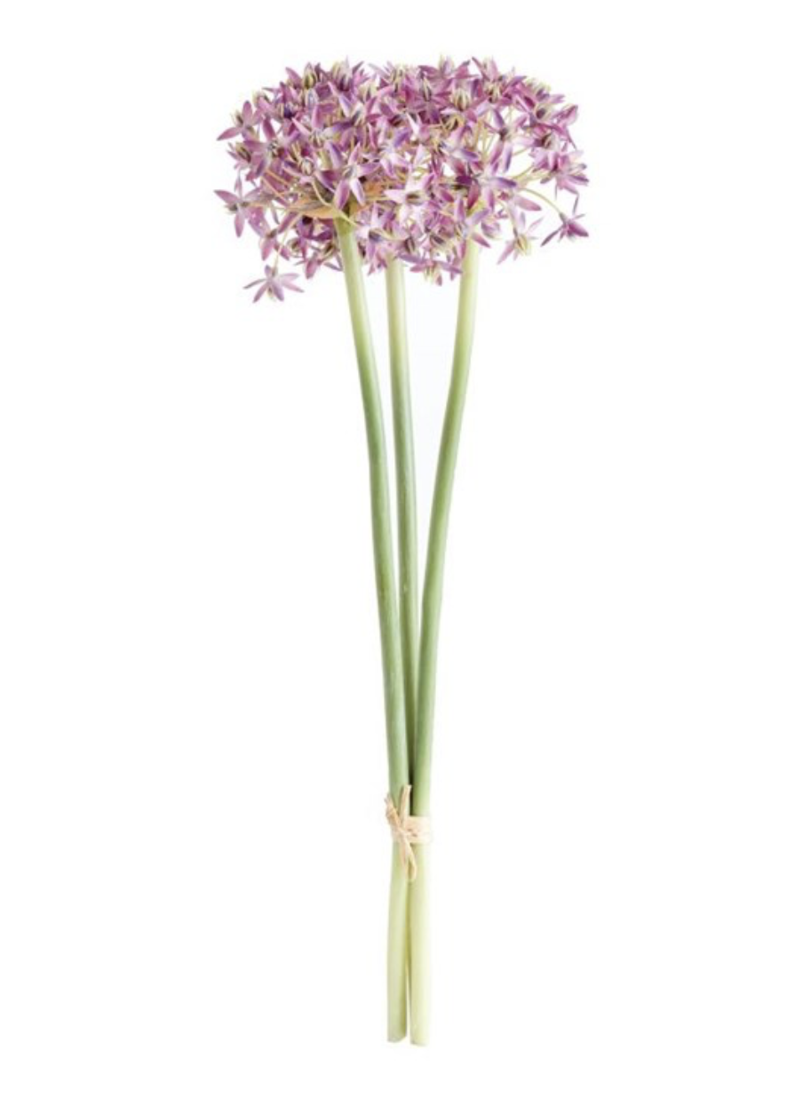19" ALLIUM STEM BUNDLE