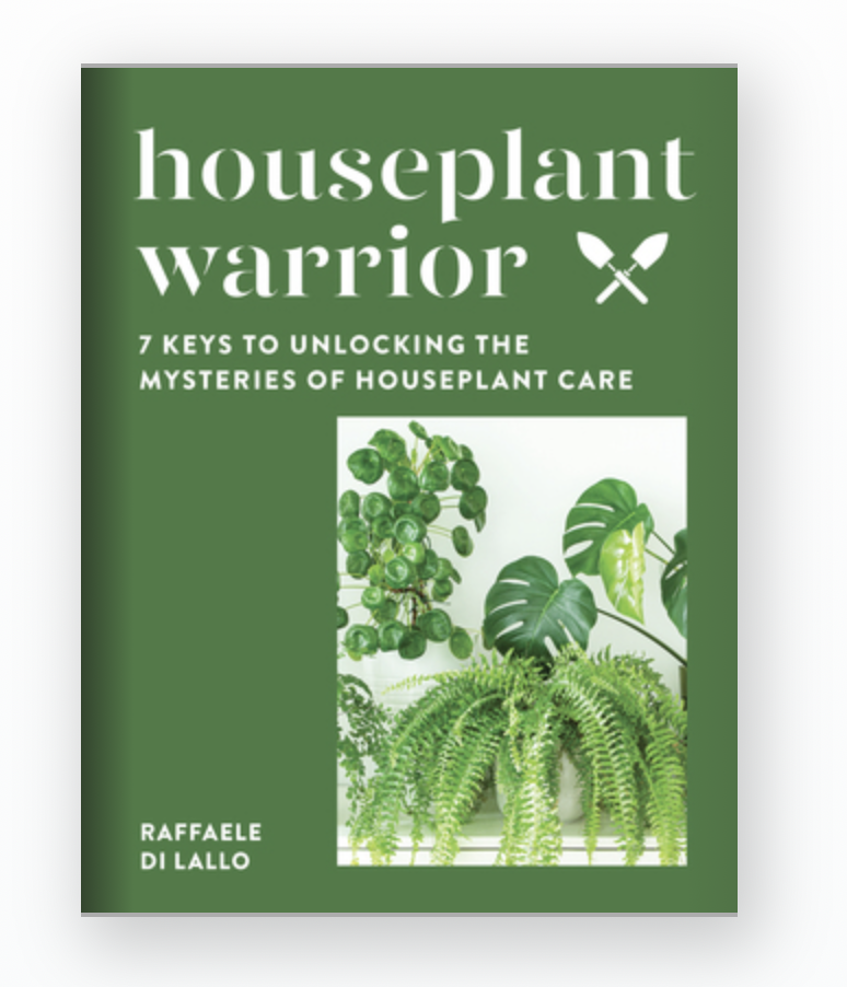 HOUSEPLANT WARRIOR
