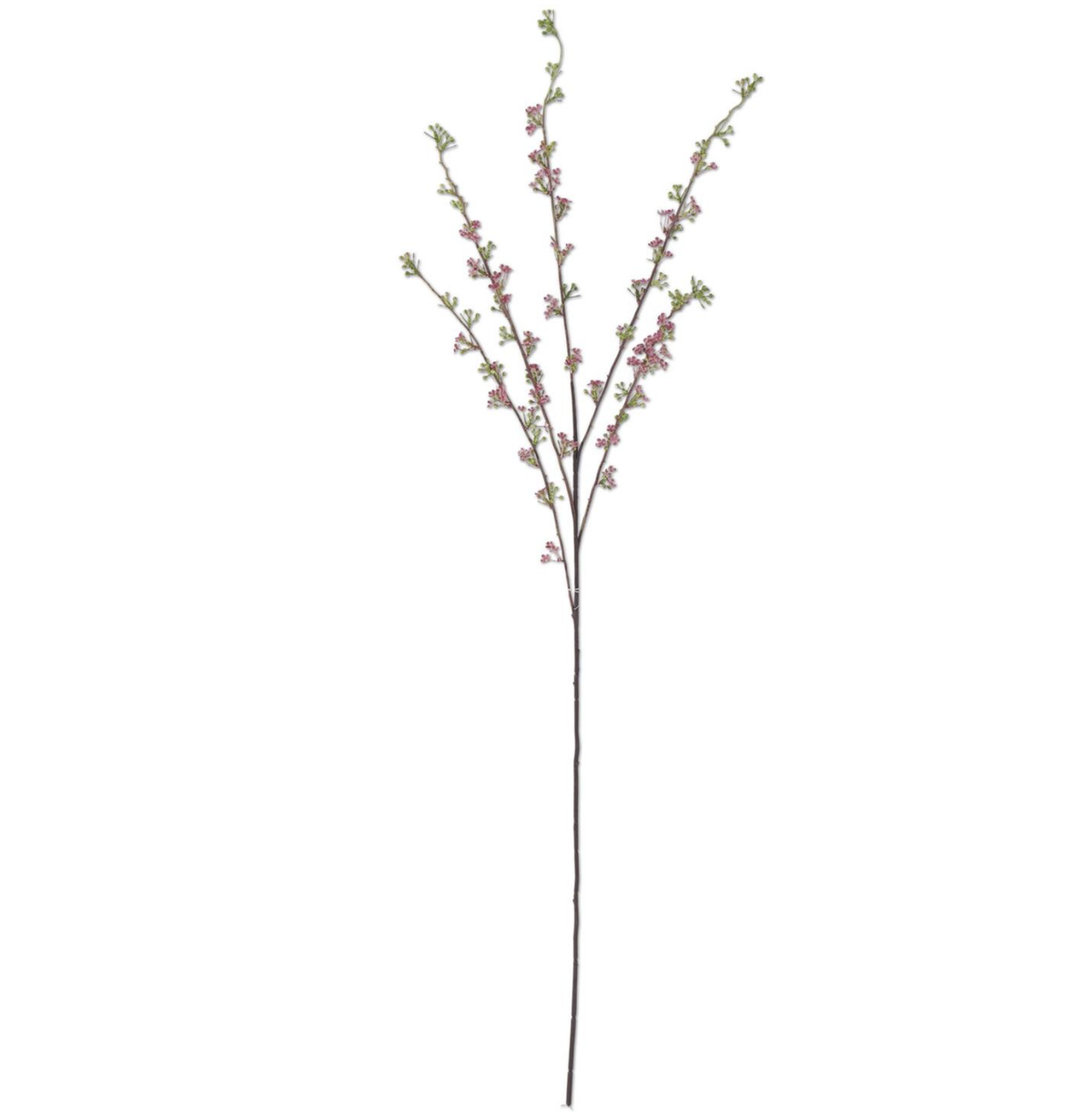 46" HOARY WILLOW SPRAY