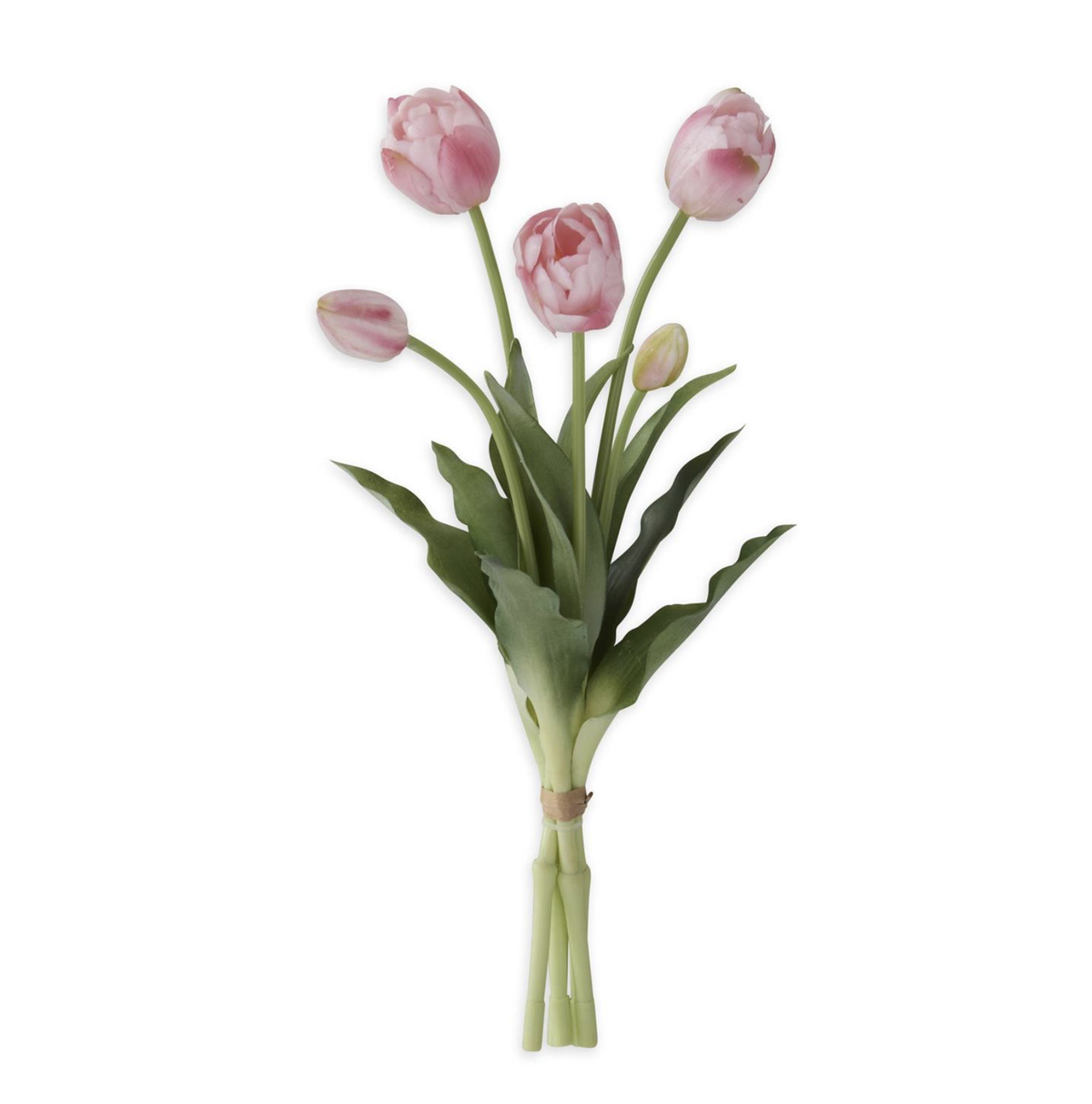 15" TULIP BUD & BLOOM-UV