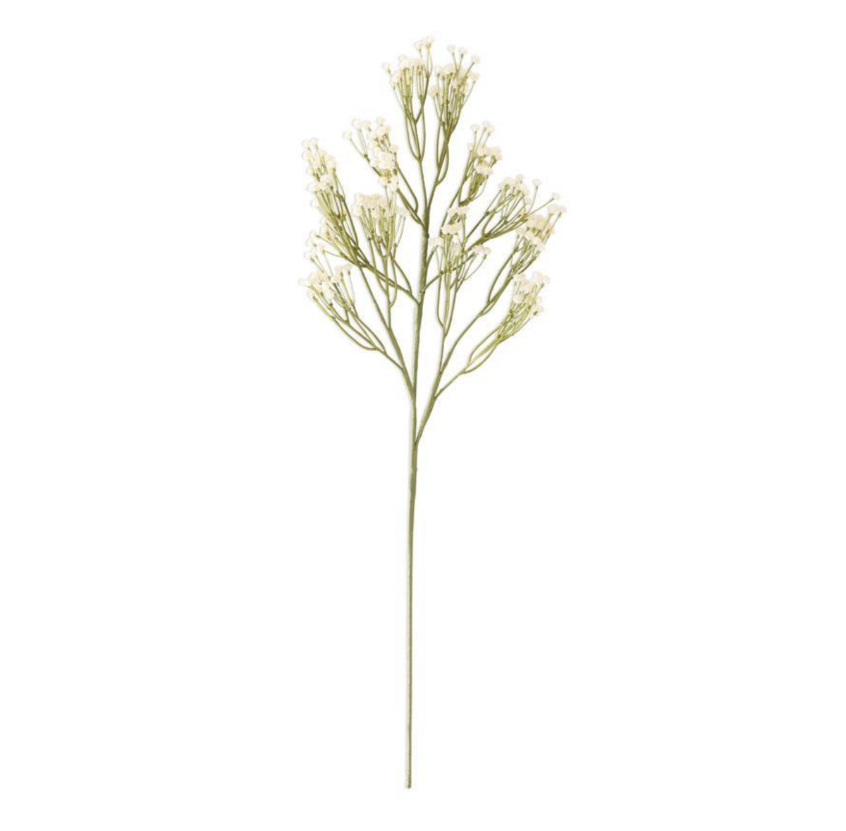 25" CREAM BABYS BREATH SPRAY