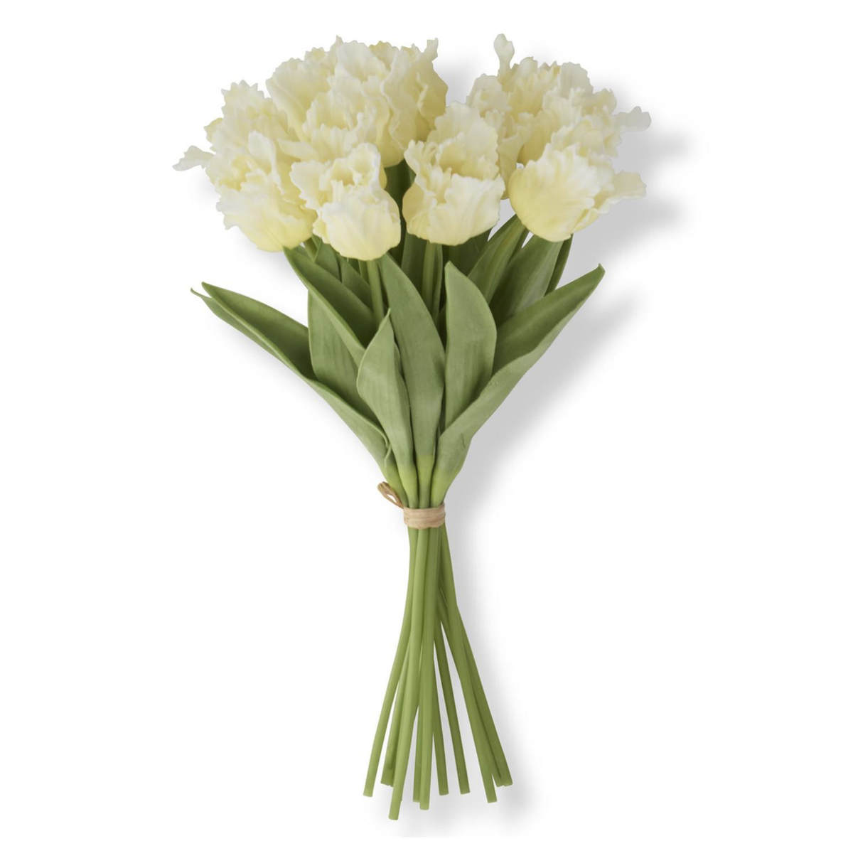 13" YELLOW PARROT TULIP STEMS