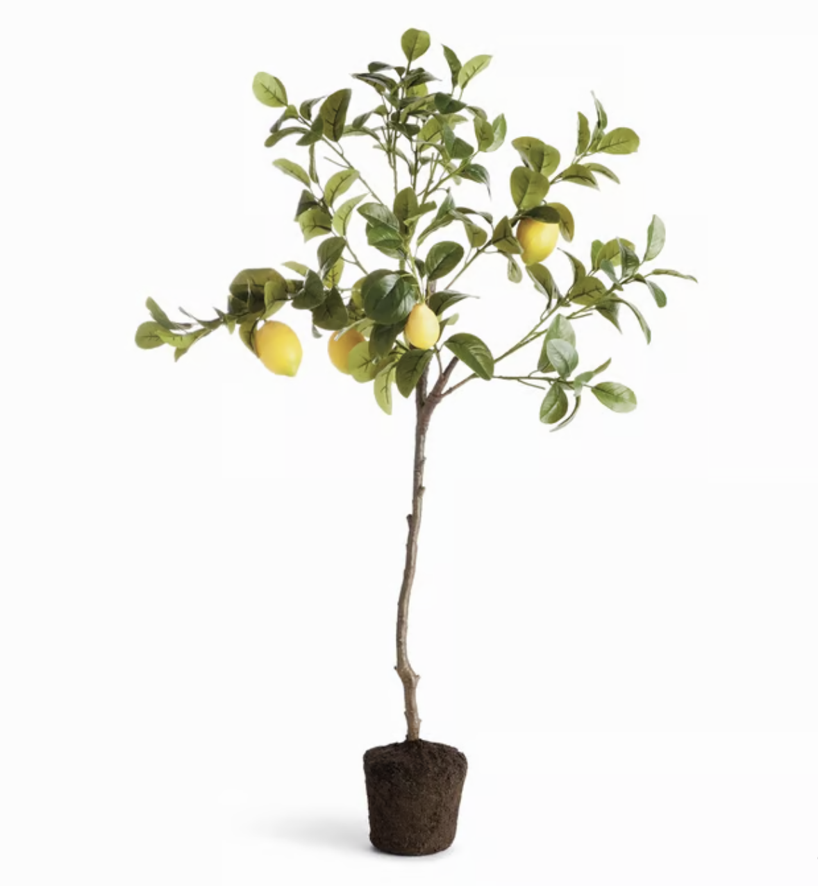 FAUX LEMON TREE DROP IN 37"