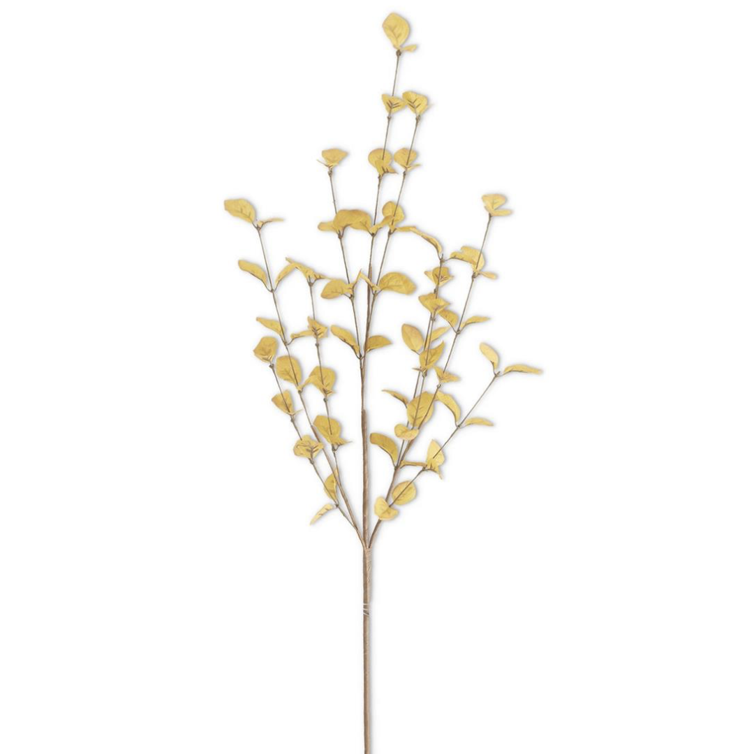 Yellow Eucalyptus Stem