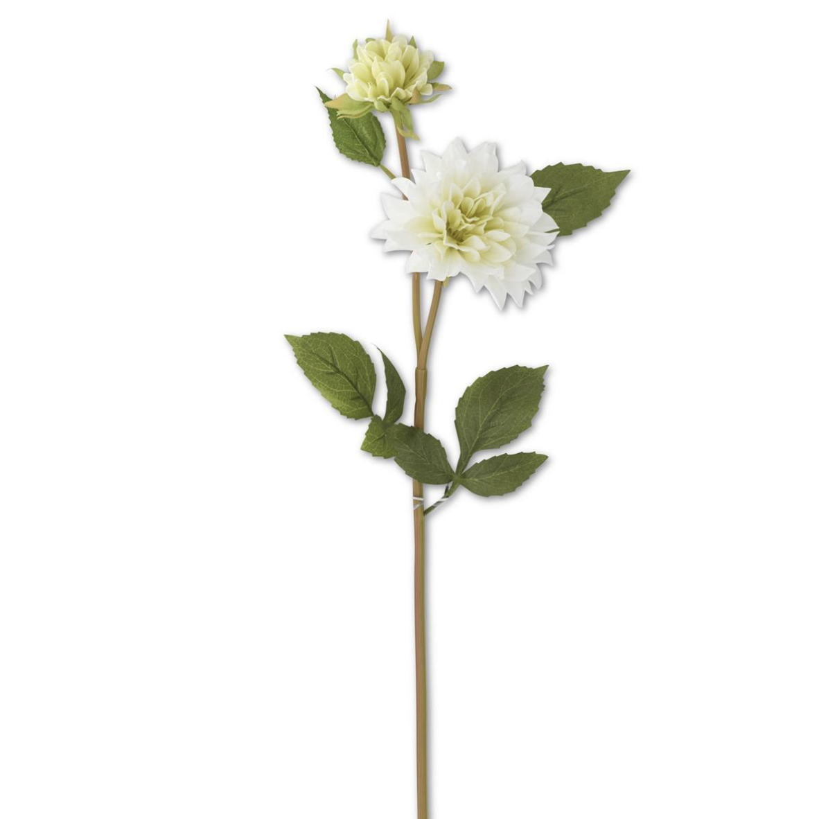 Blossom & Bud Dahlia Stem