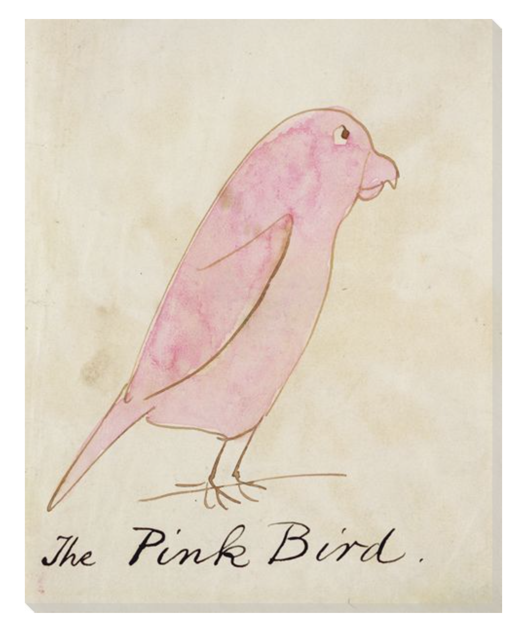 THE PINK BIRD