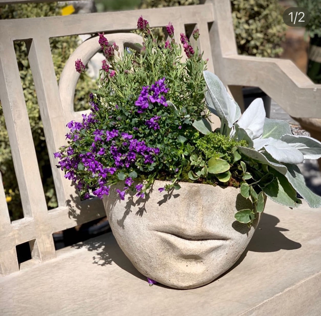 FACCIA PLANTER – Millstone Market & Nursery