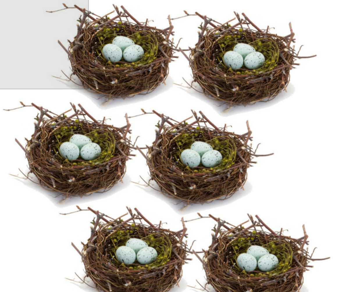SET OF SIX NESTS WITH EGGS