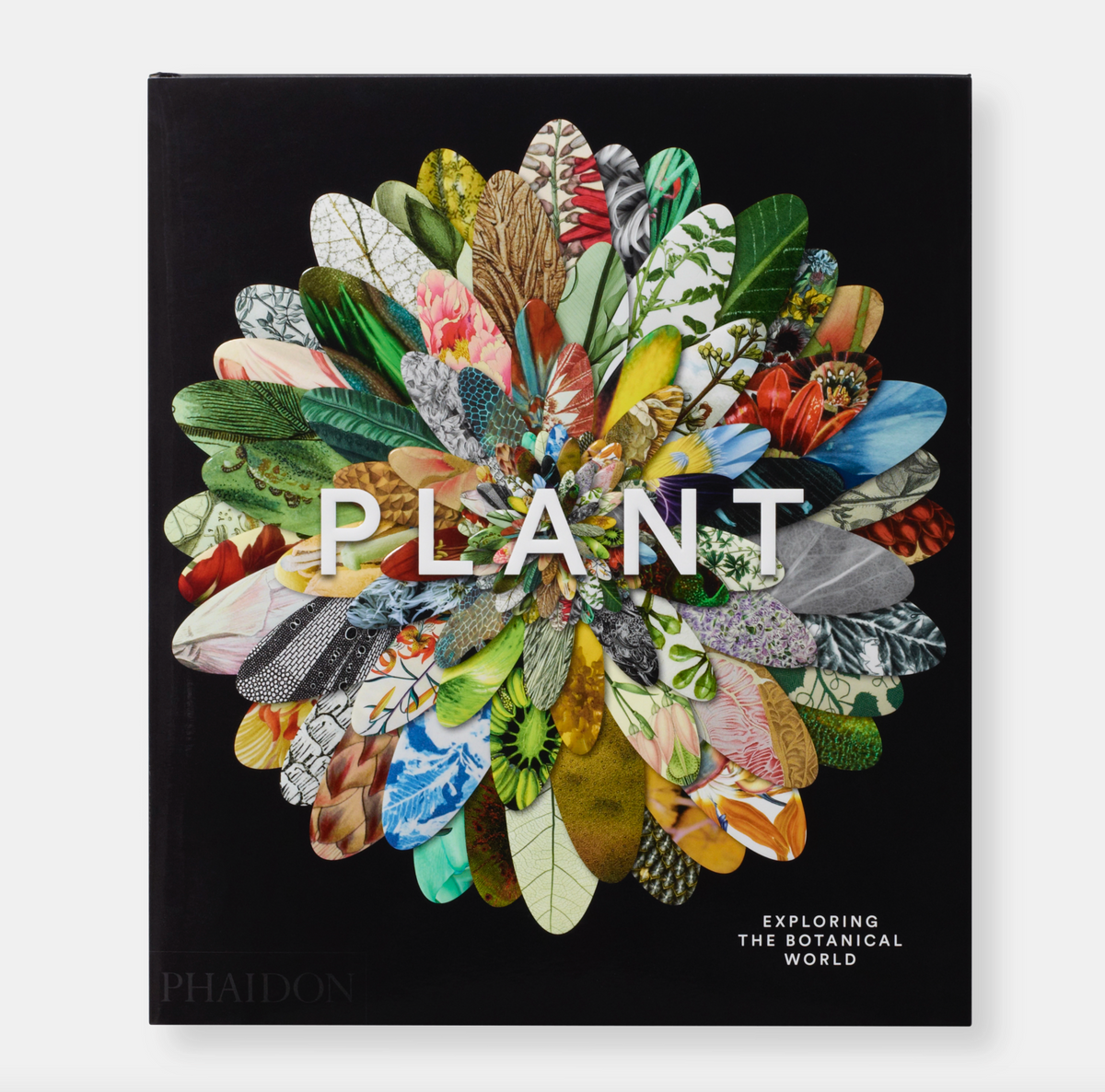 PLANT: EXPLORING THE BOTANICAL WORLD