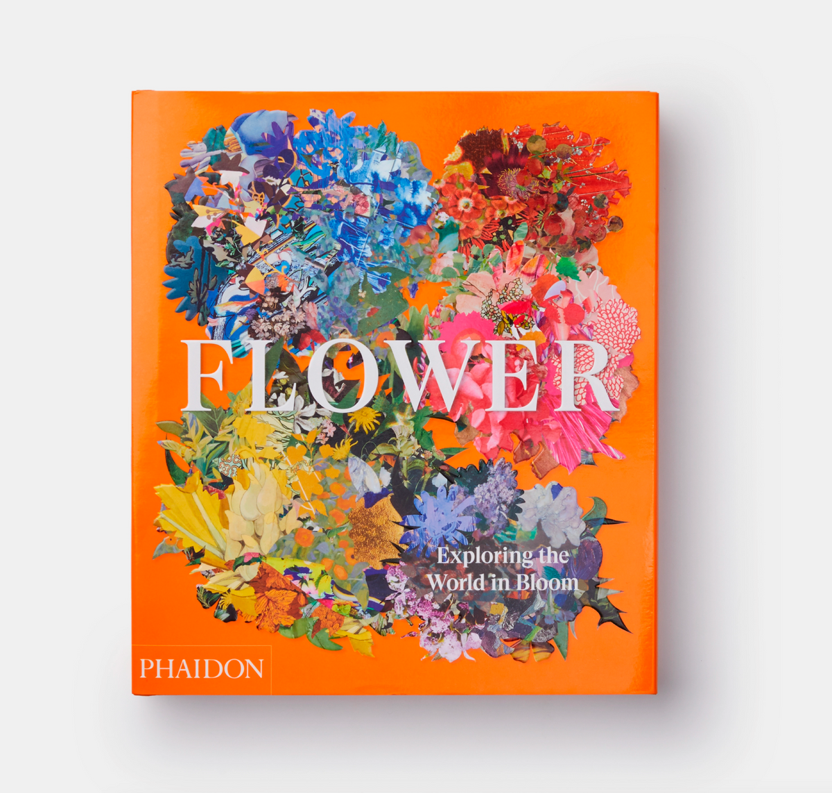 FLOWER: EXPLORING THE WORLD IN BLOOM