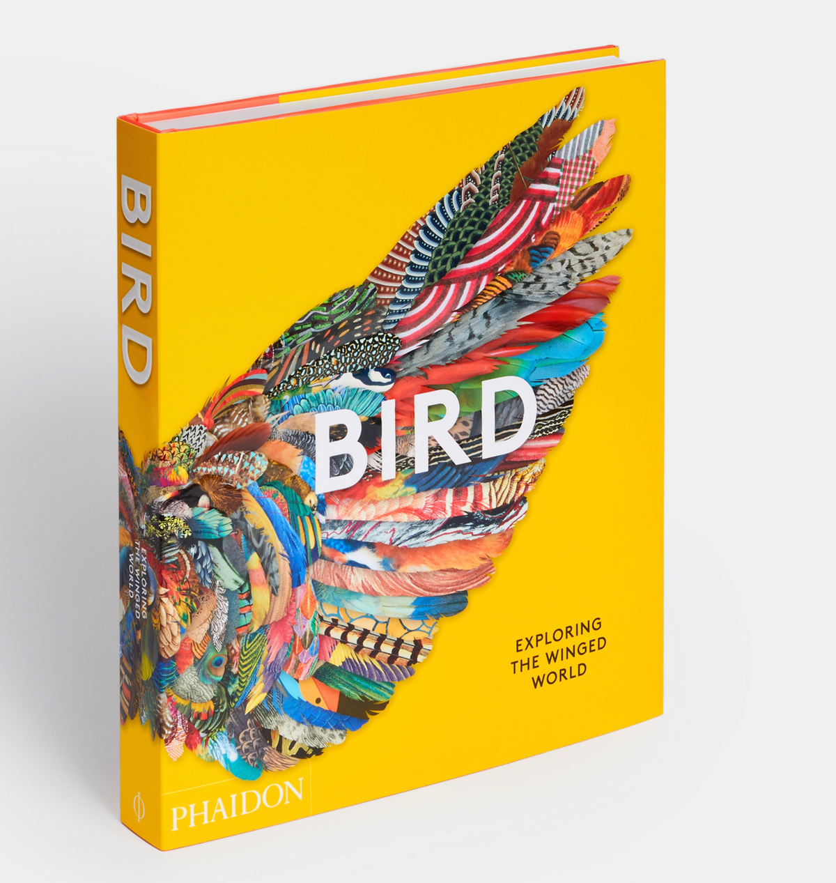 BIRD: EXPLORING THE WINGED WORLD