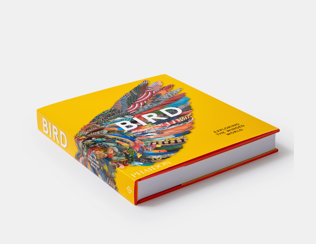 BIRD: EXPLORING THE WINGED WORLD