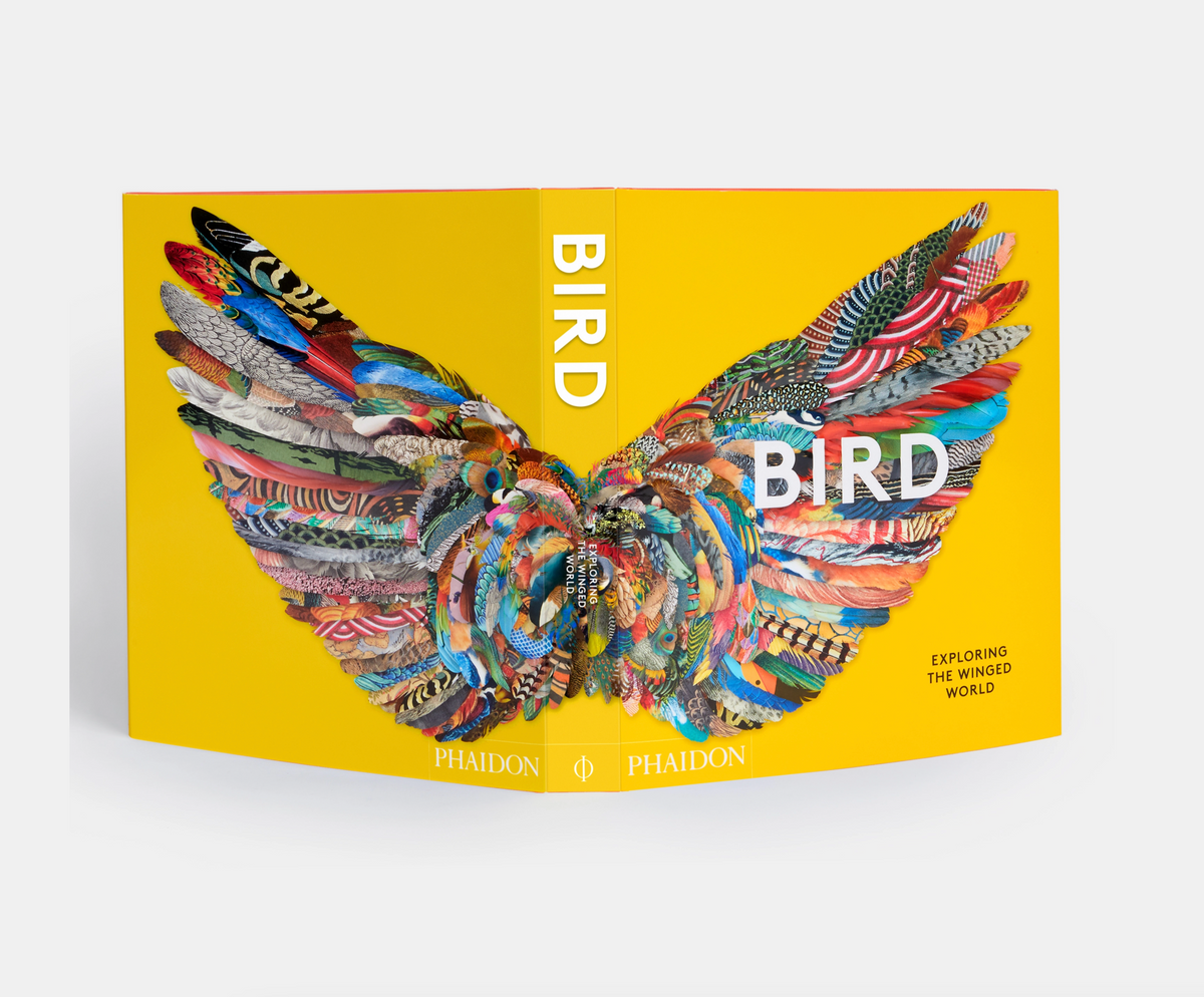 BIRD: EXPLORING THE WINGED WORLD