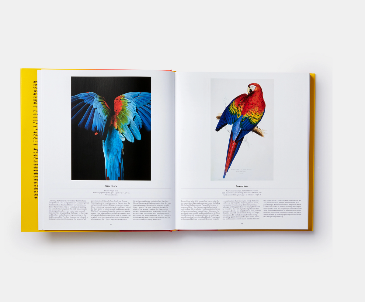 BIRD: EXPLORING THE WINGED WORLD