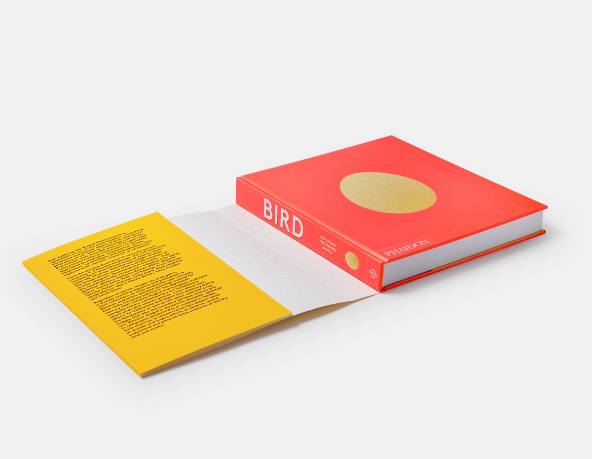 BIRD: EXPLORING THE WINGED WORLD