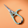 Pruning Shears