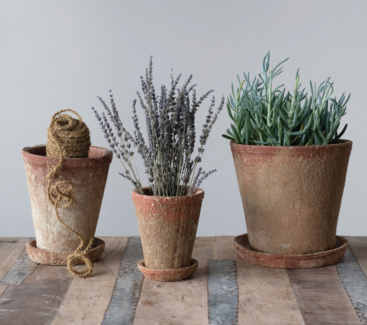 DISTRESSED TERRA-COTTA POTS