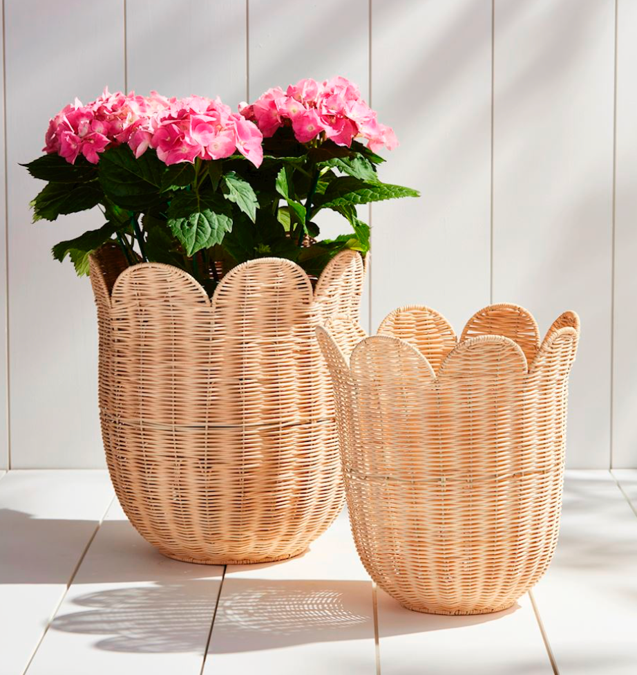 woven plant baskets SCALLOPED RATTAN BASKET – Millstone Market & Nursery