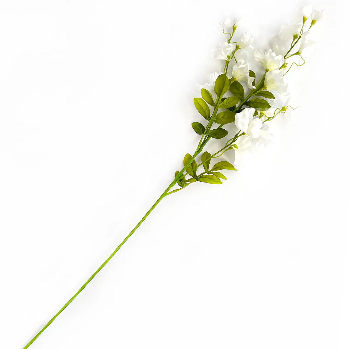 FAUX WHITE SWEET PEA