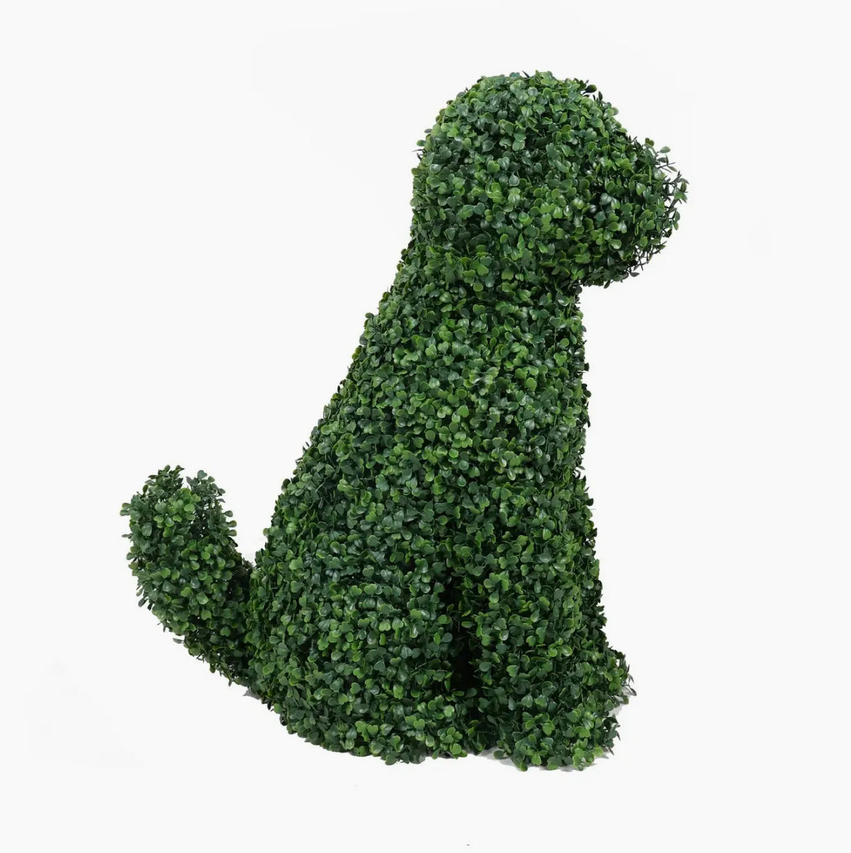 DOG BOXWOOD TOPIARY