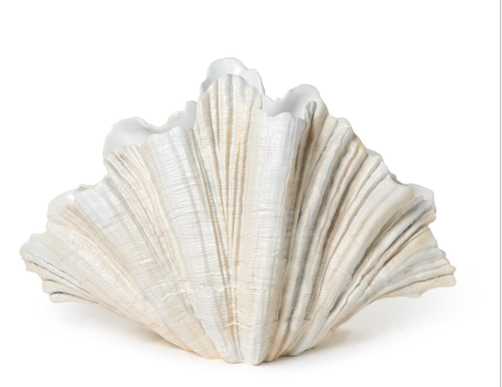 CLAM SHELL VASE