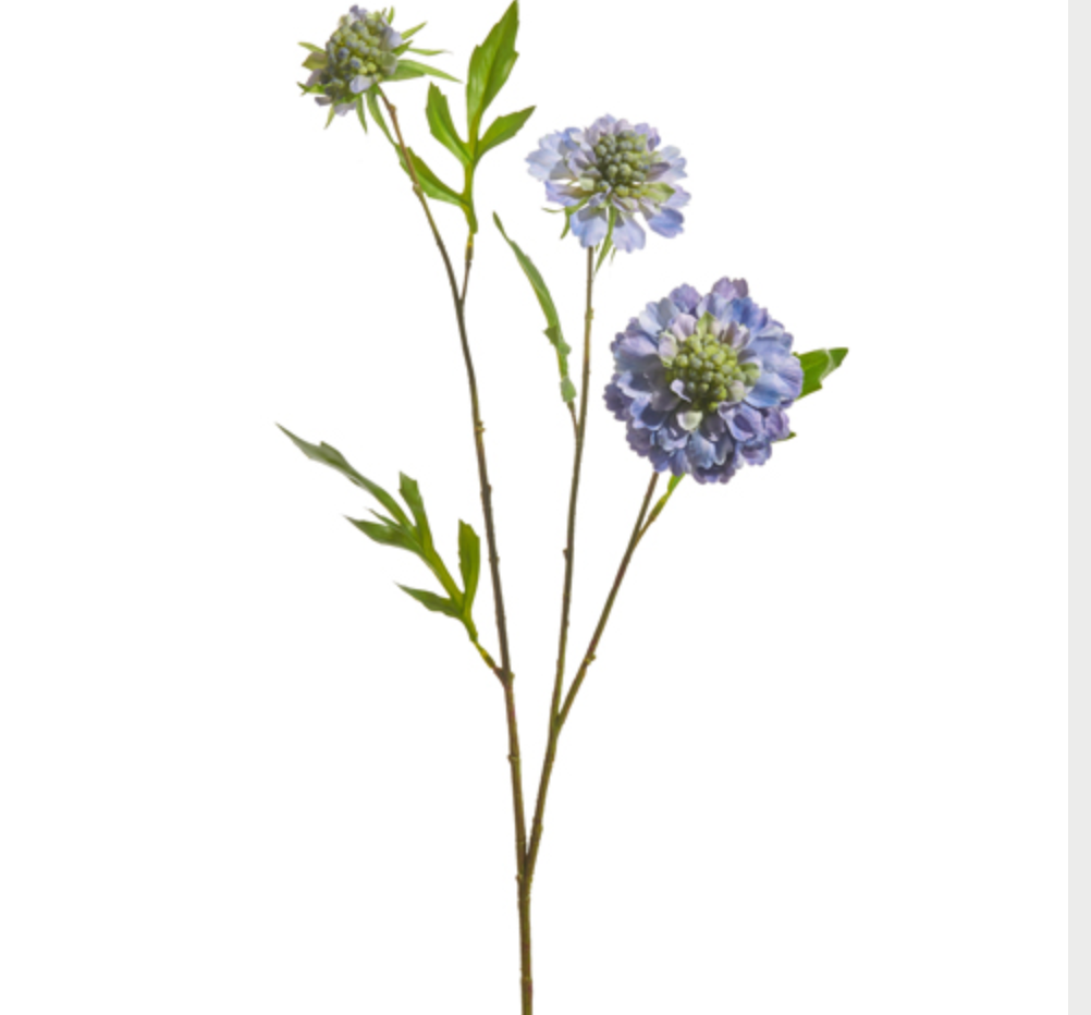 24.5" SCABIOSA SPRAY