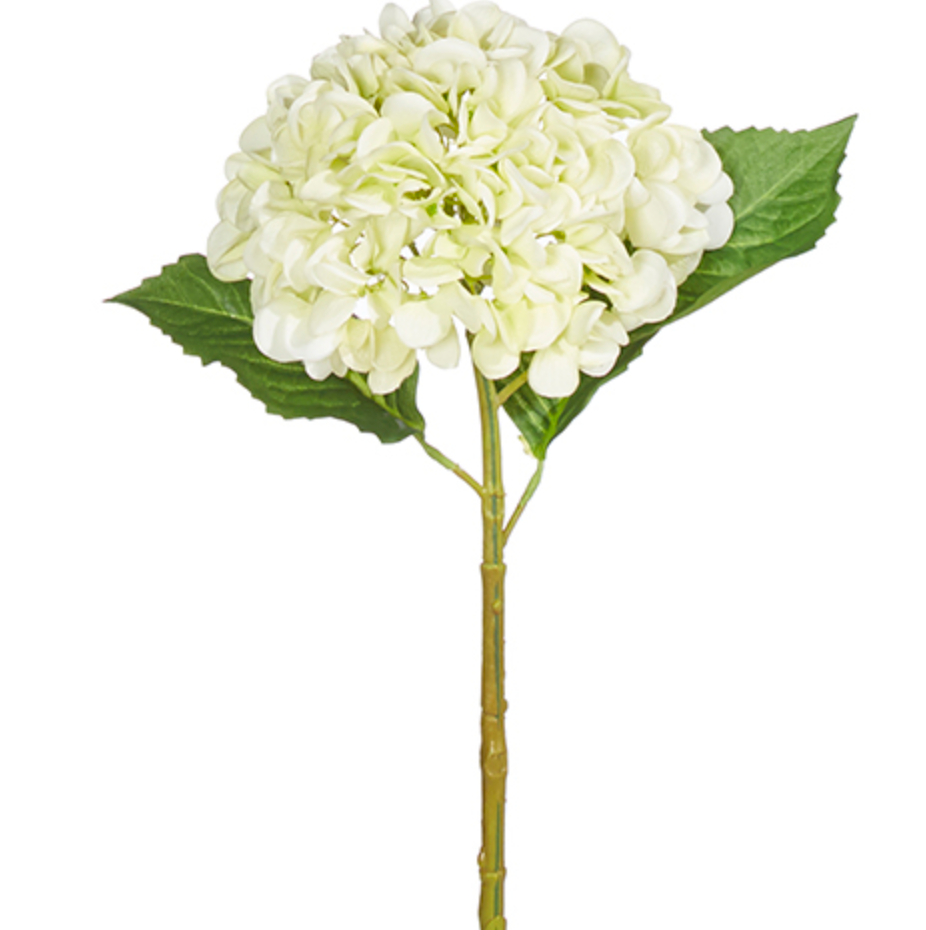 19" LIGHT GREEN HYDRANGEA STEM