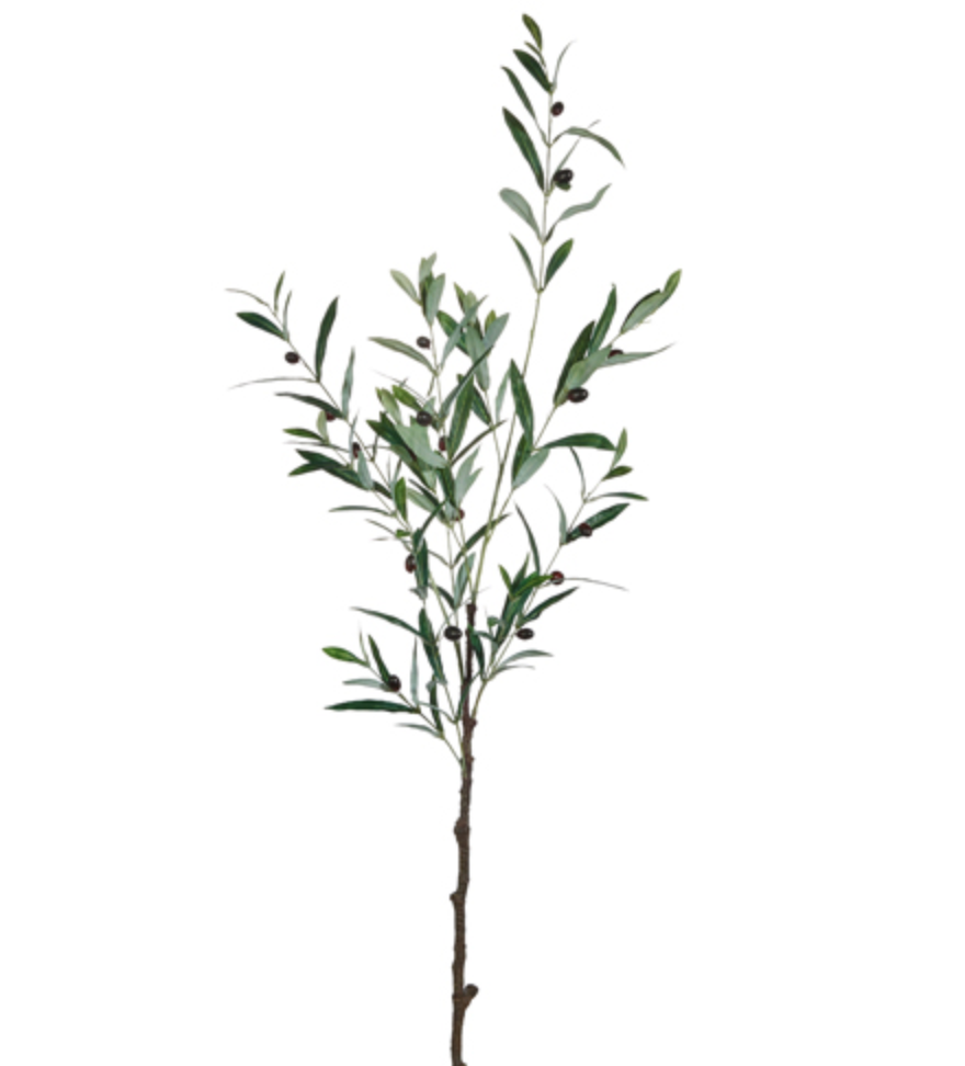 48.5" OLIVE LEAF BRANCH