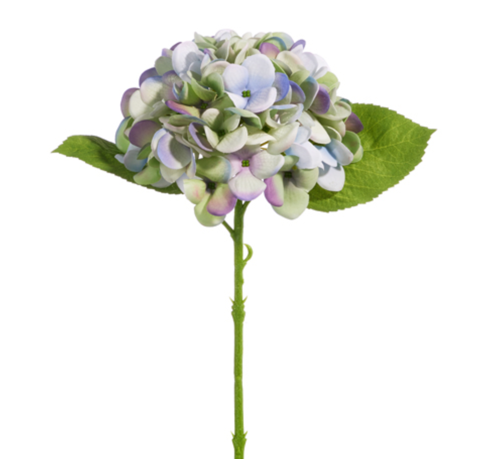 13" GREEN & PURPLE HYDRANGEA STEM