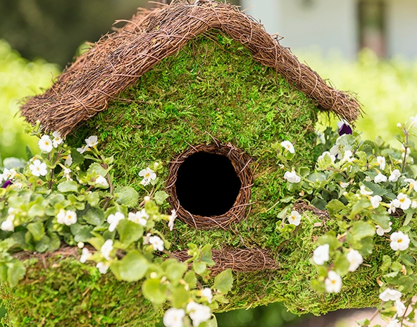 PLANTABLE BIRD HOUSE