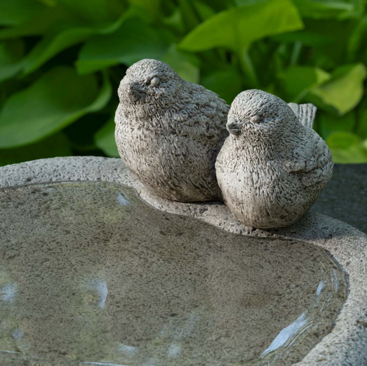 WOODLAND BIRDS BIRDBATH