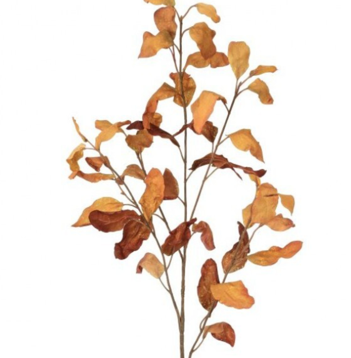 37" WILD AUTUMN COPPER BEECH SPRAY