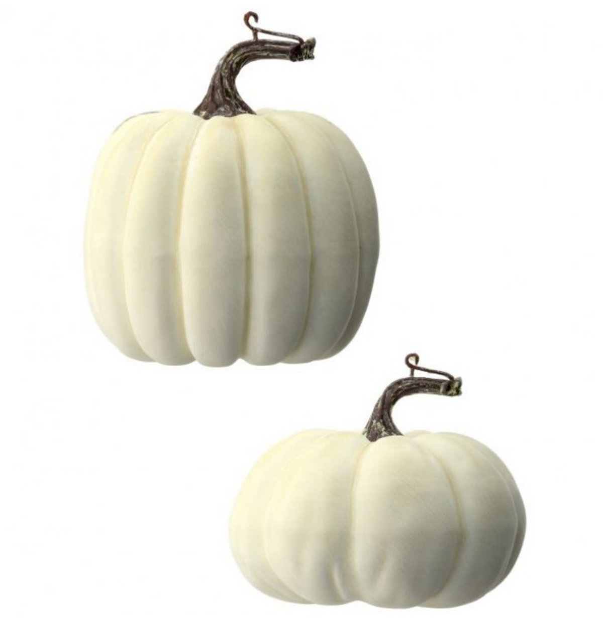 CREAM WEATHERED PUMPKIN SET OF 2