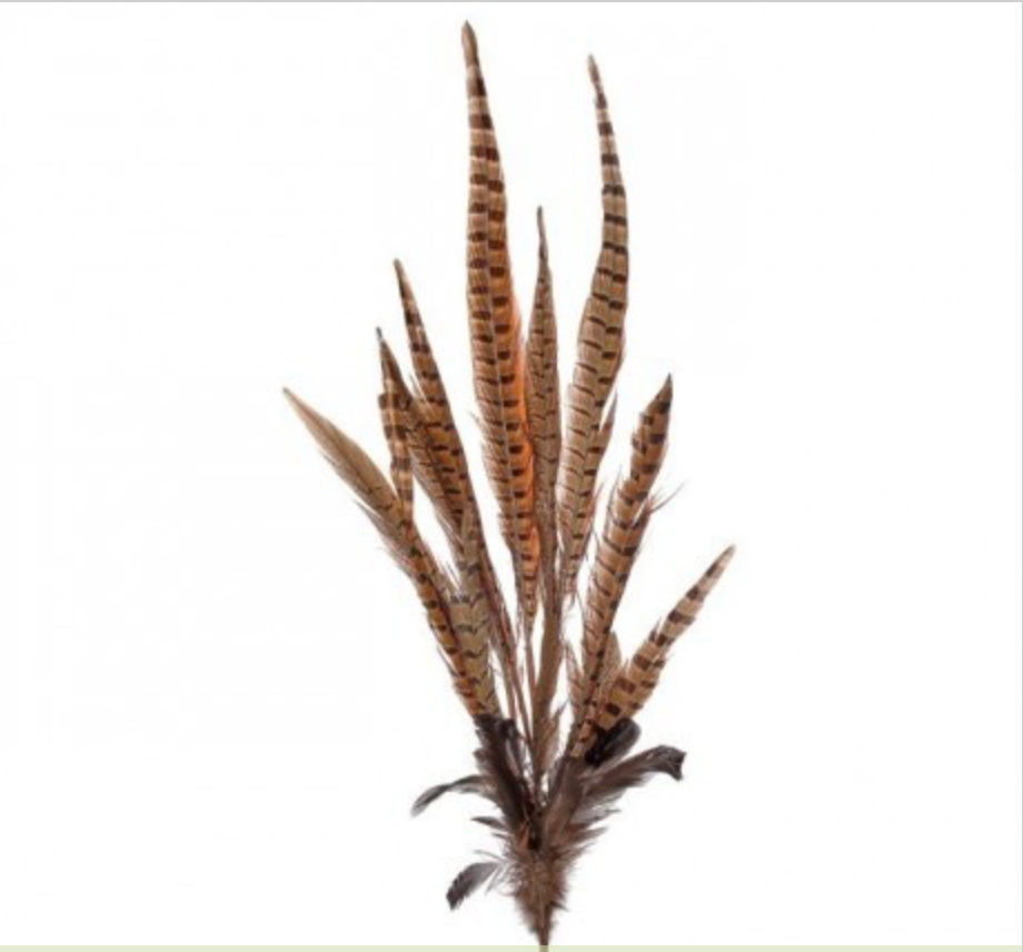 30"PHEASANT FEATHER SPRAY