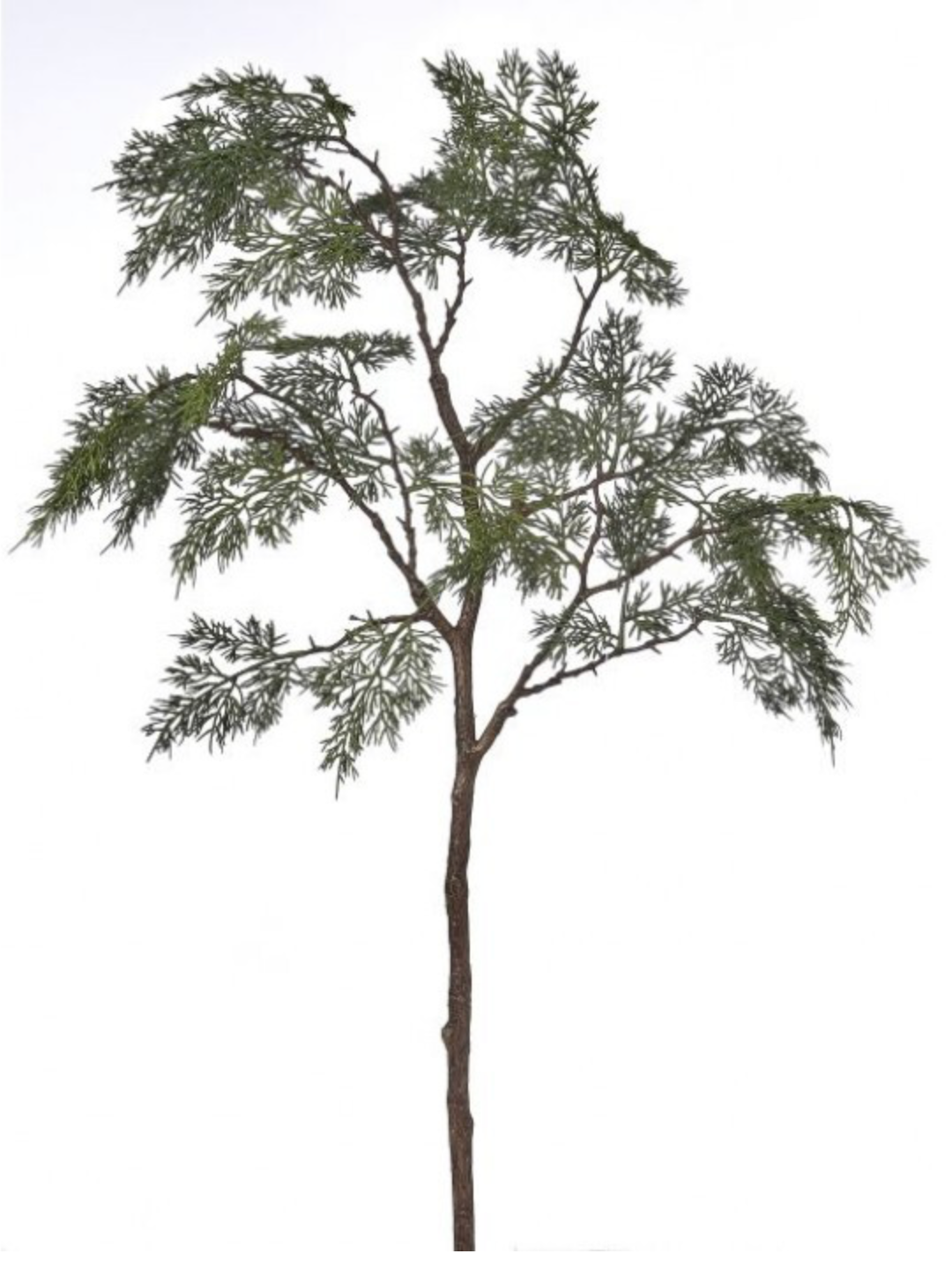 43" WOODLAND CEDAR SPRAY
