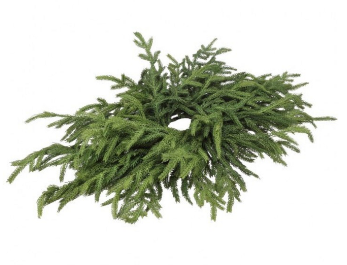 JUST CUT FAUX NORFOLK PINE CENTERPIECE