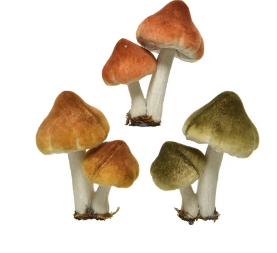 MUSHROOM FOAM CLIPS SET