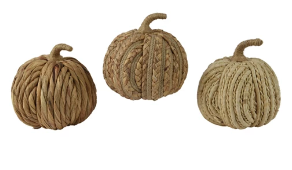 WATER HYACINTH PUMPKINS S/3