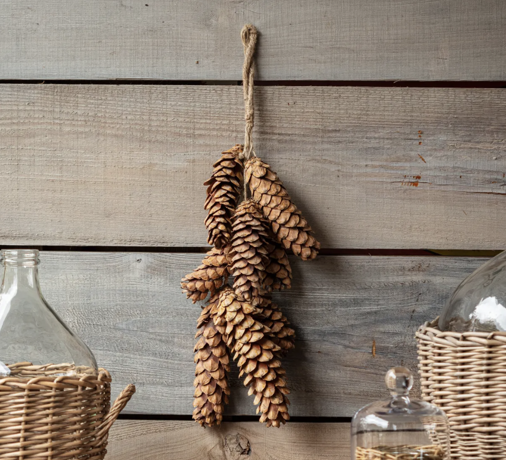 DRIED PINECONE BUNCH