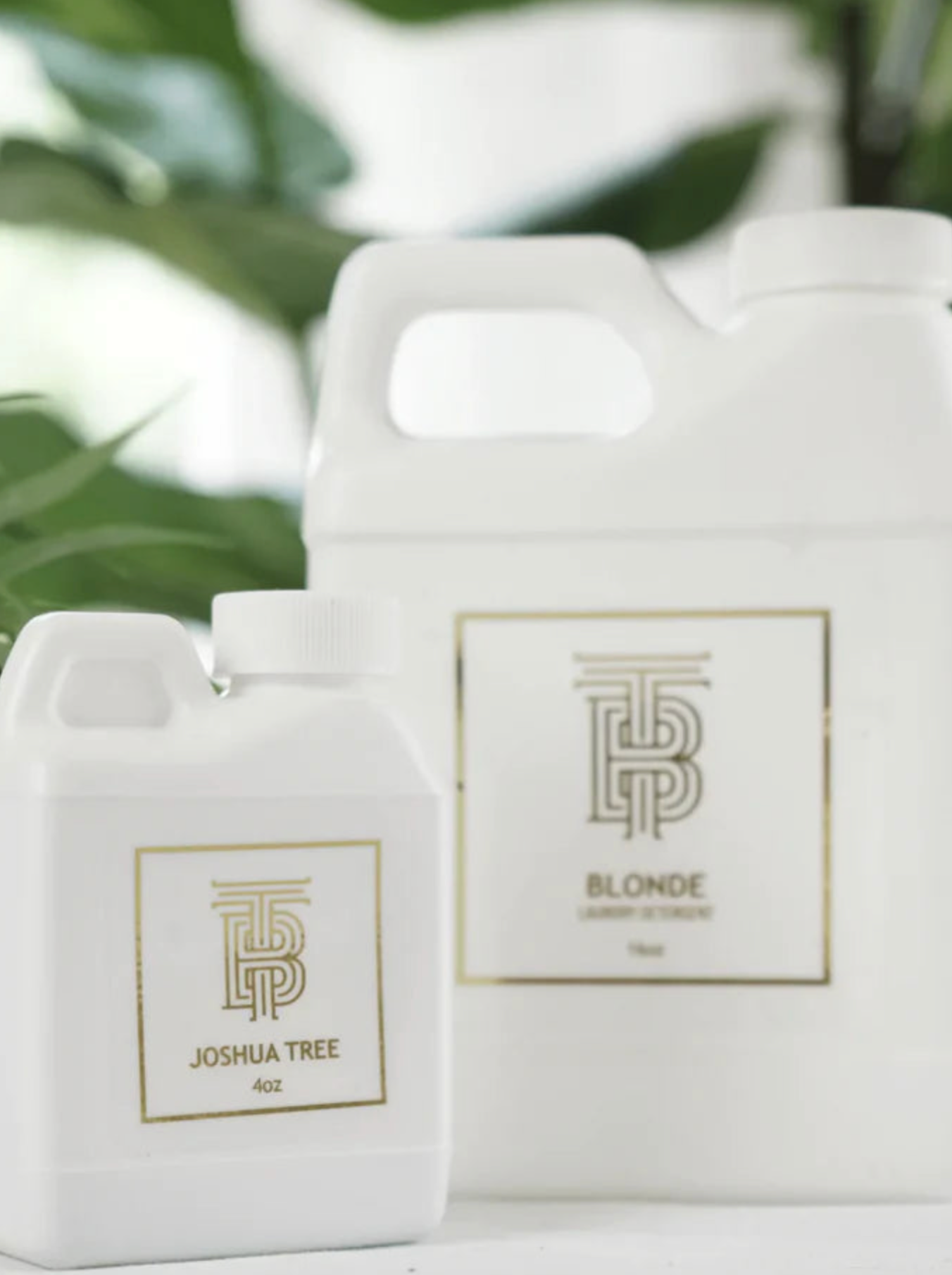 Thomas Blonde Joshua Tree Eau De Parfum - Thumbnail 3