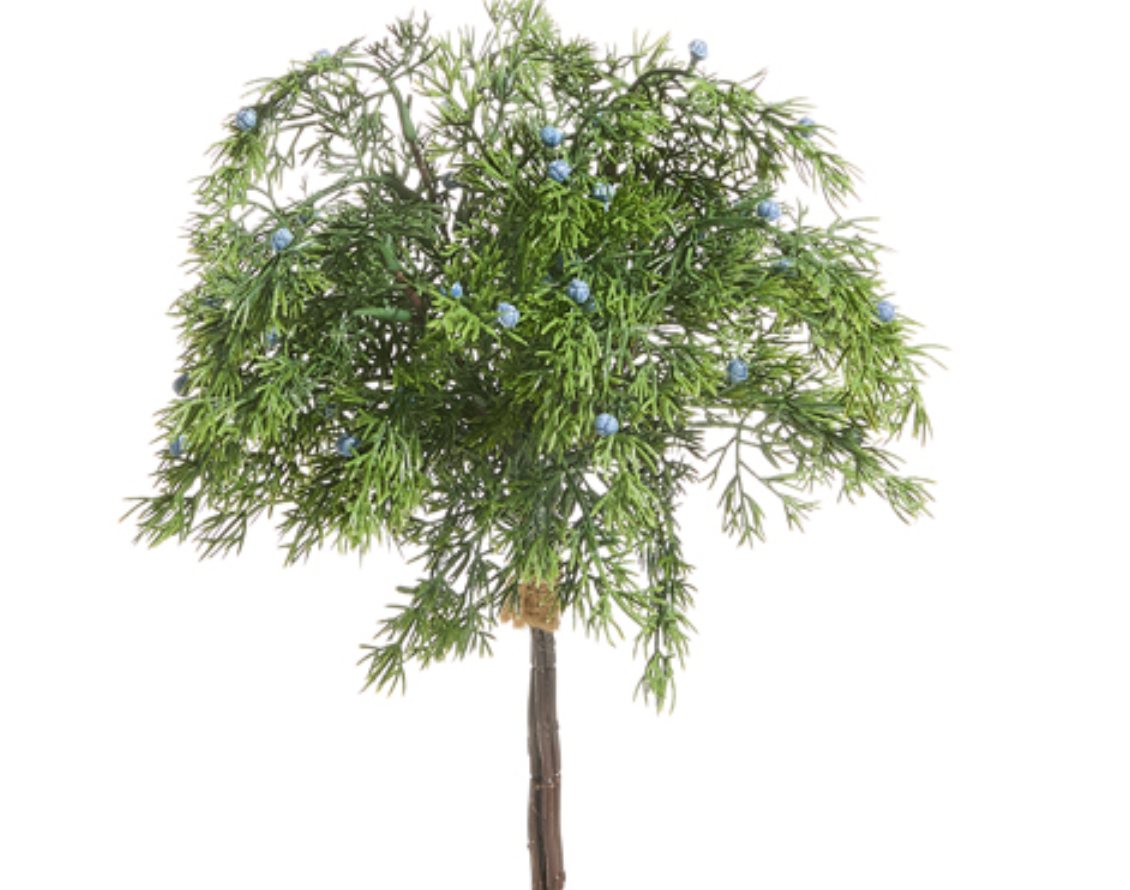 18" BLUE BERRY & CEDAR BUNDLE