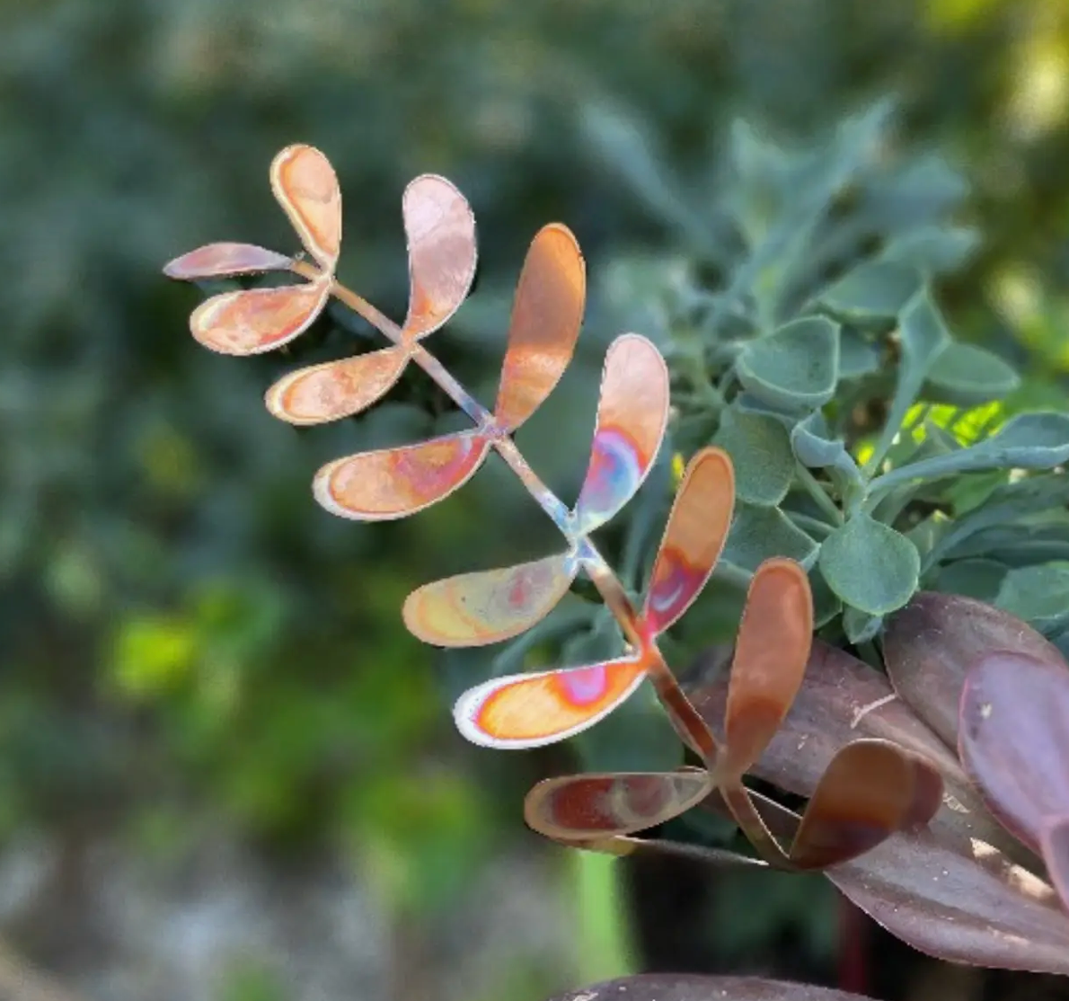 COPPER FERN FROND