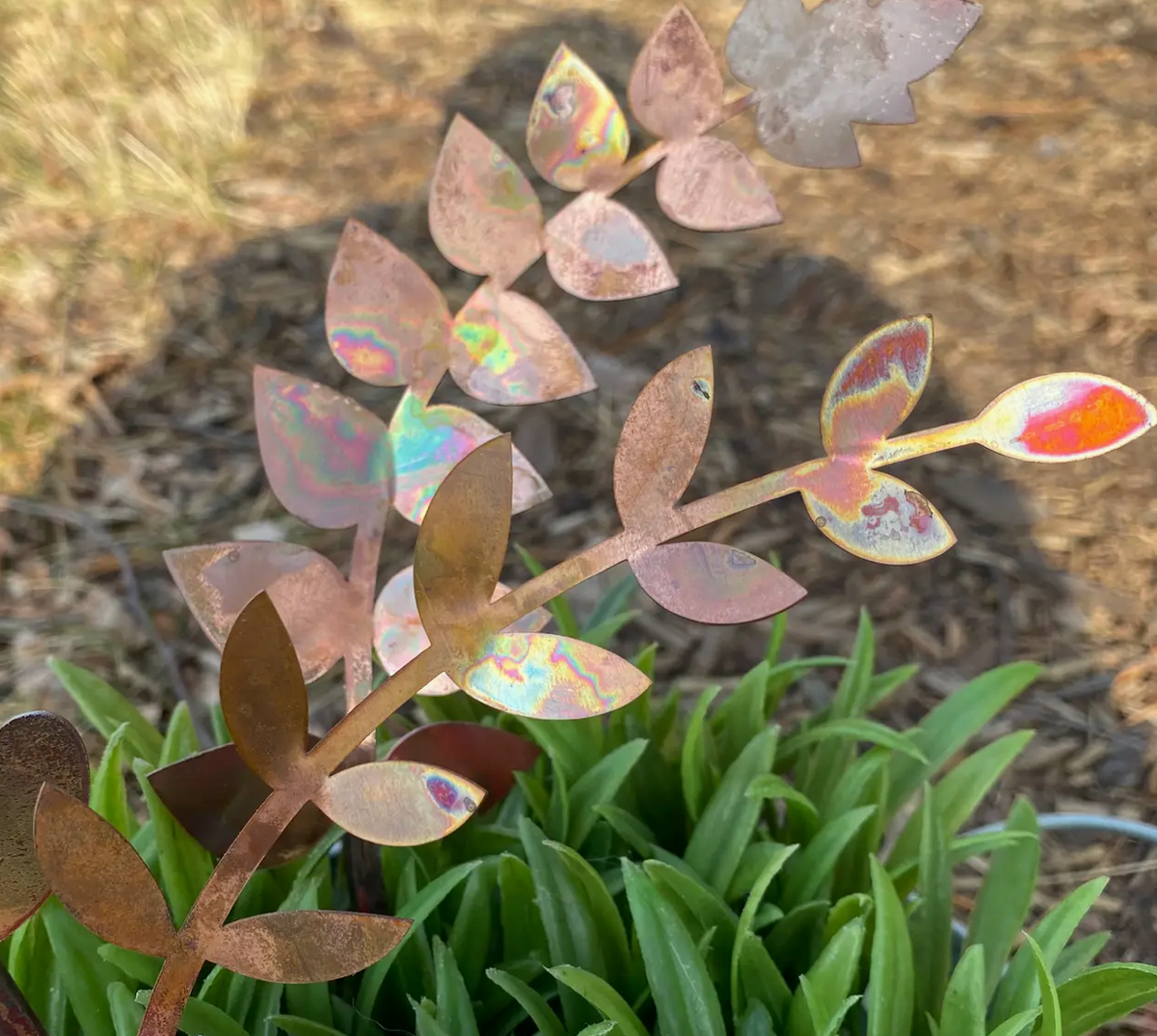 COPPER FERN FROND