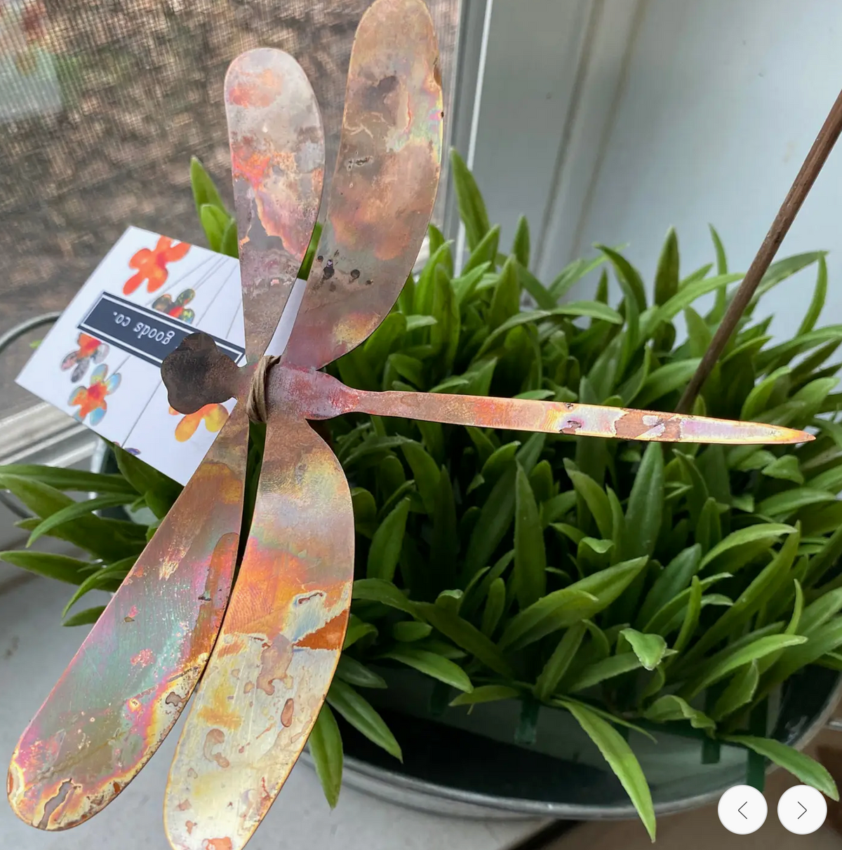 COPPER GARDEN STAKES