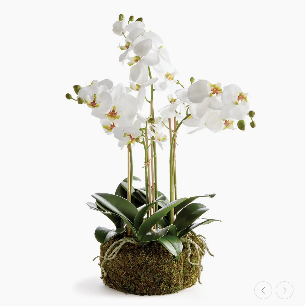 FAUX ORCHID DROP-IN 20"