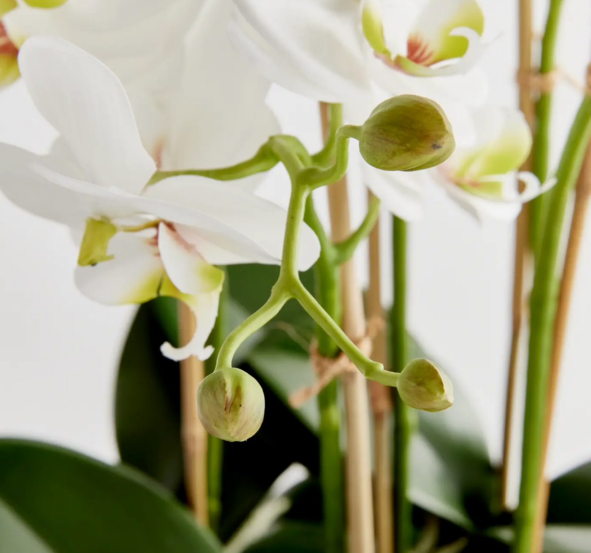 FAUX ORCHID DROP-IN 20"
