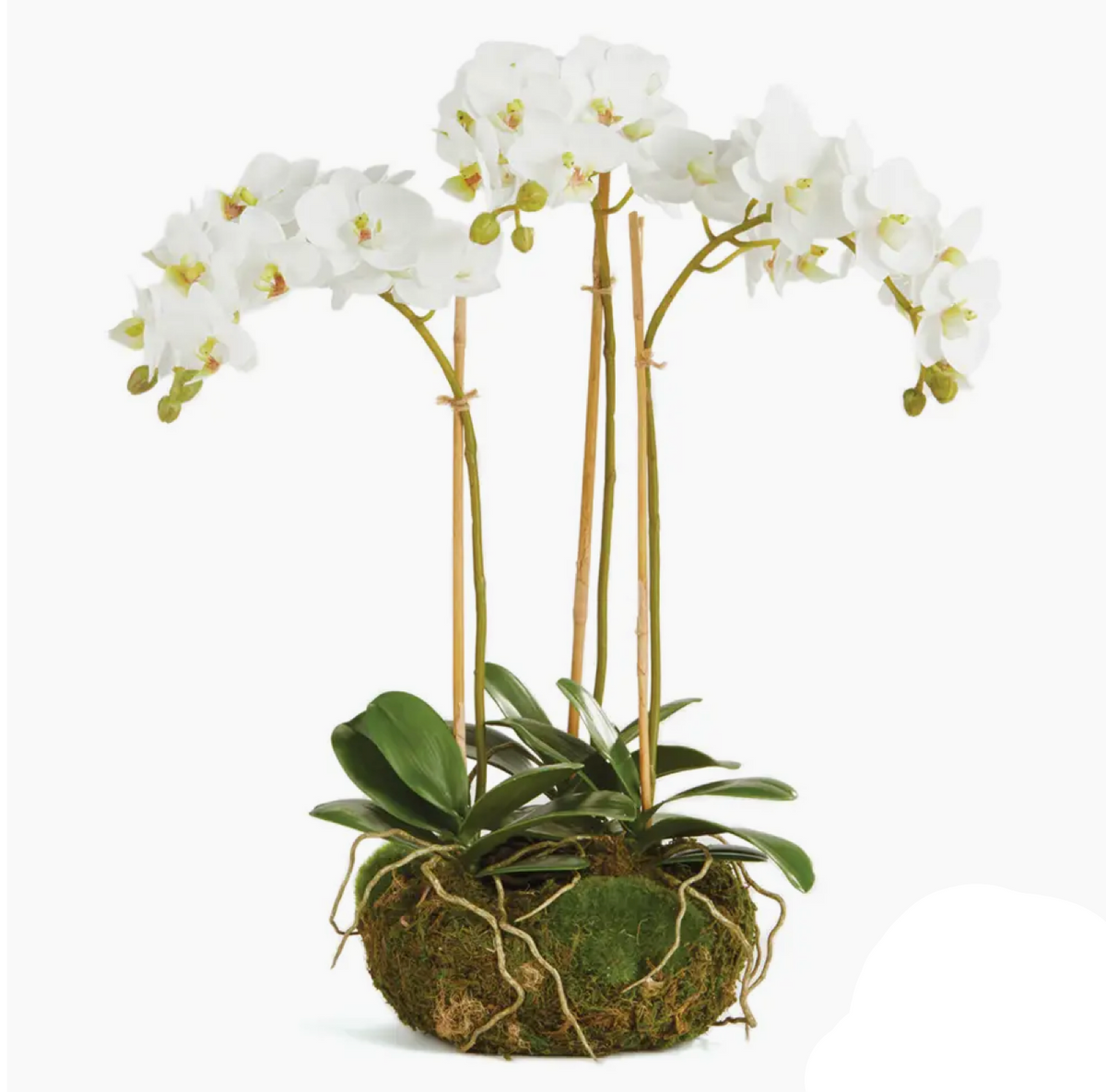 FAUX ORCHID DROP-IN 16"