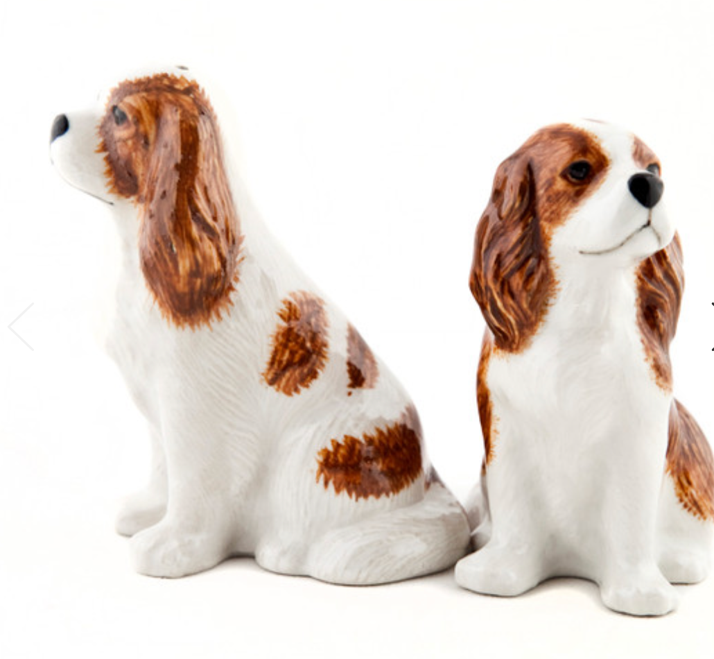 KING CHARLES SPANIEL S'N'P SHAKERS